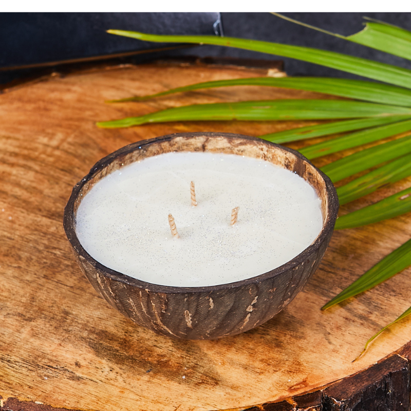 "NATURE'S LAP"- Scented Soy Wax Coconut Shell Candles